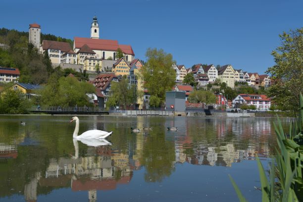 Stadt Stadtsilhouette von Horb am Neckar
